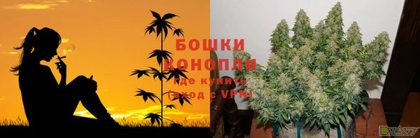 мет Нея