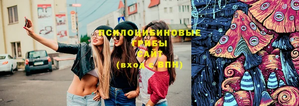 молекула духа Нефтекумск