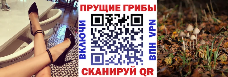 Псилоцибиновые грибы MAGIC MUSHROOMS  Новокубанск 