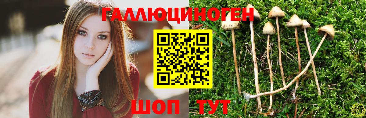 Галлюциногенные грибы Psilocybe  Псилоцибиновые грибы мицелий  дарнет шоп  Новокубанск  Вход с VPN 